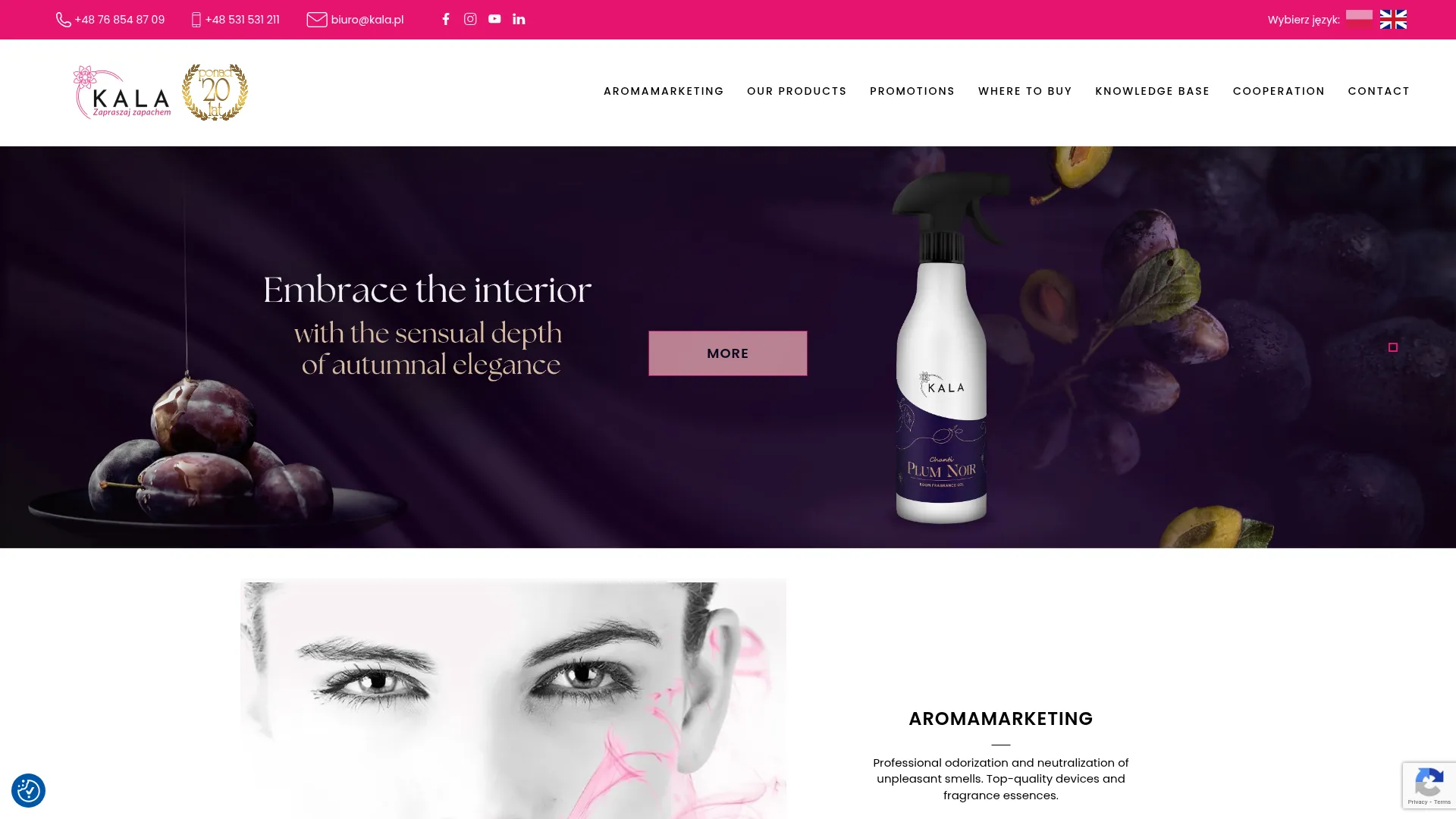 Screenshot of kala.pl