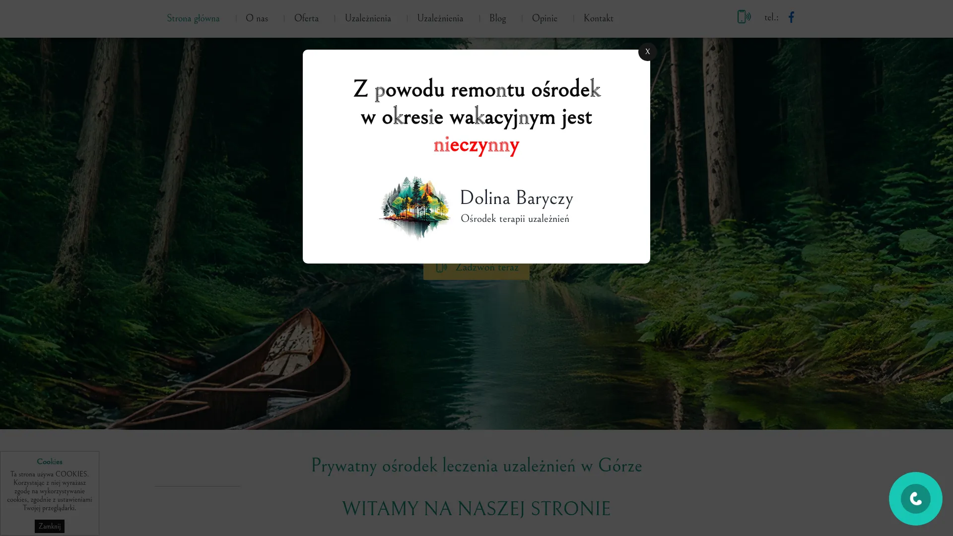 Screenshot of www.terapia-dolina-baryczy.pl