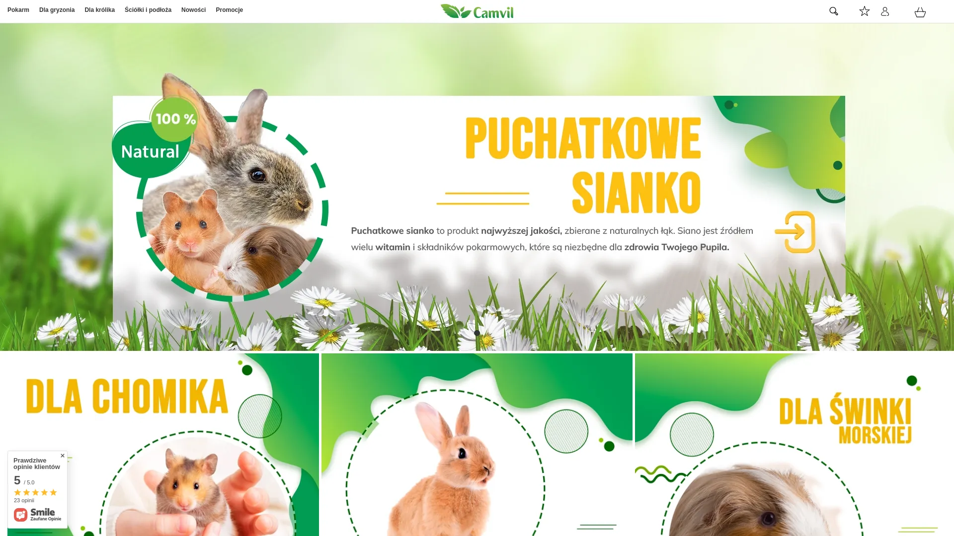 Screenshot of camvil.pl